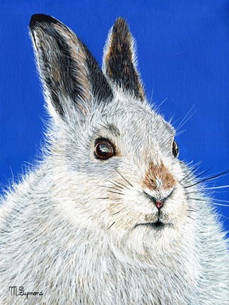 Framed Calgary Jack Print