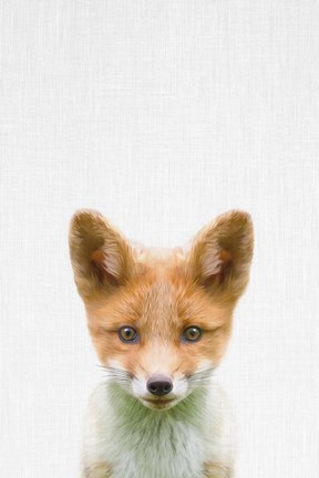 Framed Baby Fox Print