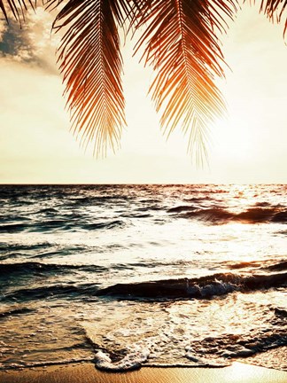 Framed Night Beach Print