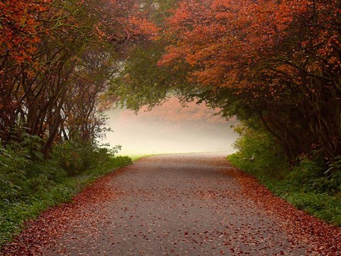 Framed Arc de Triomphe Print