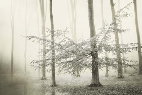 Framed Only for Unicorns Print