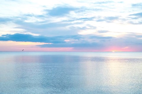 Framed Hurricane Calm Print