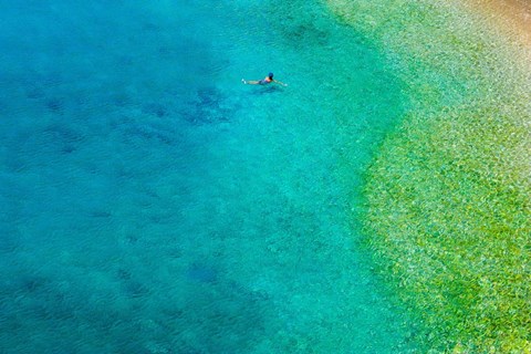 Framed Solo Swim Print