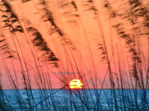 Framed Sun Dance Print