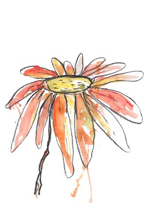 Framed Orange Modern Botanical Print