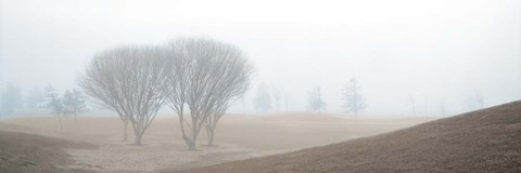 Framed Coastal Trail Print