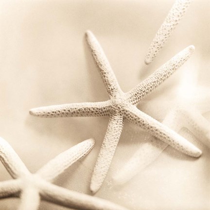 Framed Il Oceano No. 2 Print