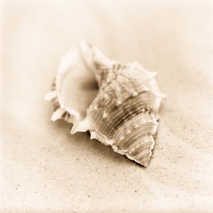 Framed Il Oceano No. 3 Print