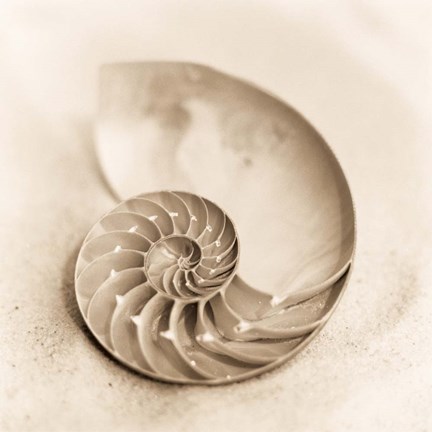 Framed Il Oceano No. 4 Print