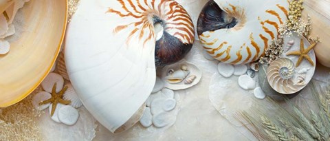 Framed Island Tide Pool No. 8 Print