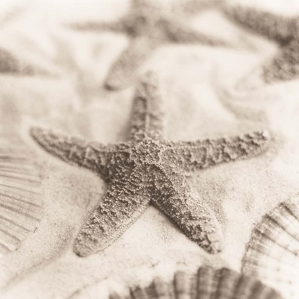 Framed La Mer 2 Print