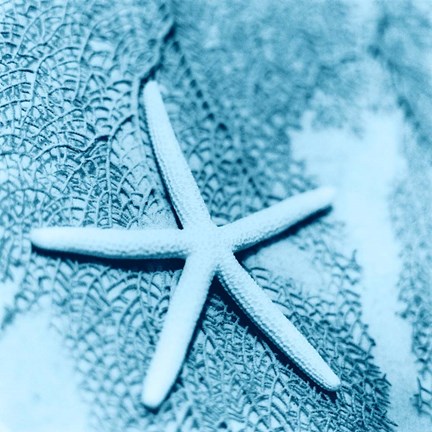 Framed Nautica No2 Print