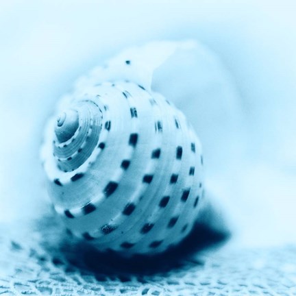 Framed Nautica No3 Print