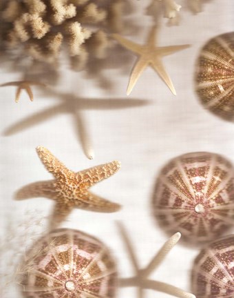 Framed Nautical Illuminations No.3 Print