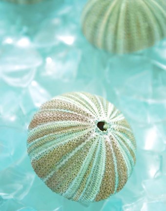 Framed Seaglass 4 Print