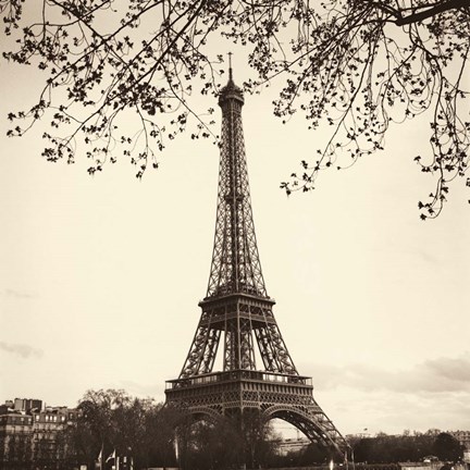 Framed Tour Eiffel Print