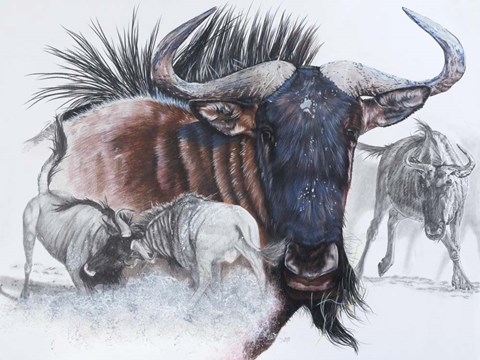 Framed Wildebeest Print