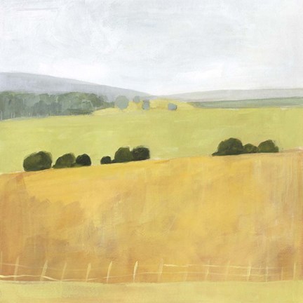 Framed Soft Fieldscape II Print