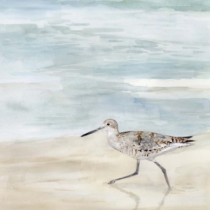 Framed Speckled Willet II Print