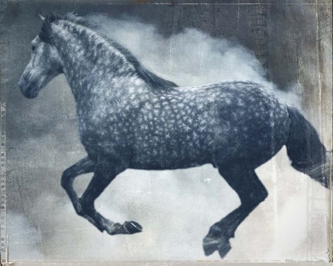 Framed Horse Exposures III Print