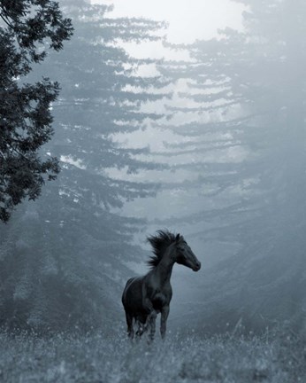 Framed Horse in the Trees I Print