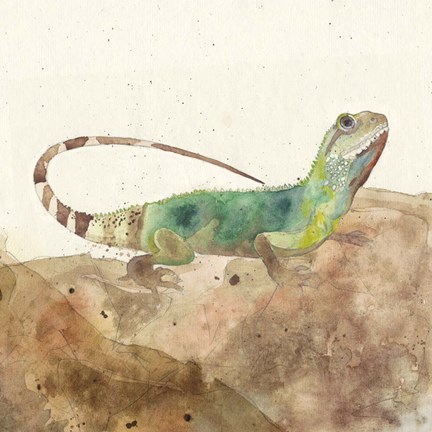 Framed Reptillian I Print