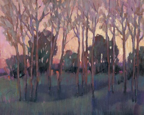 Framed Morning Light I Print