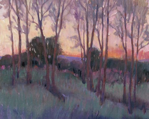 Framed Morning Light II Print