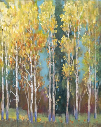 Framed Aspen Grove I Print
