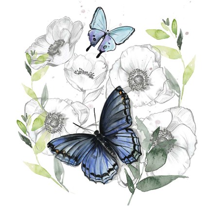 Framed Butterfly Floral II Print