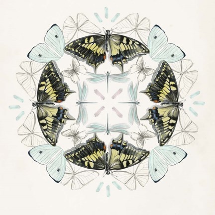 Framed Butterfly Mandala I Print