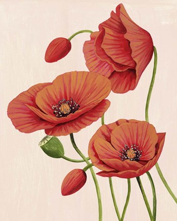 Framed Soft Coral Poppies II Print