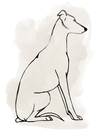 Framed Greyhound Sketch I Print