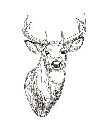 Framed Whitetail Wireframe I Print
