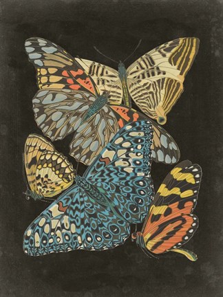 Framed Winged Patterns II Print