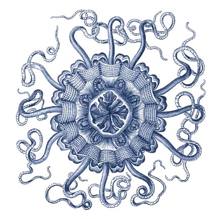 Framed Navy Ocean Gems II Print