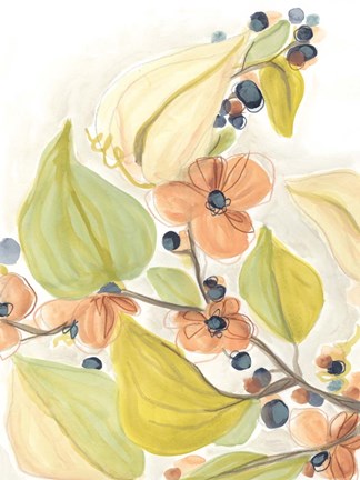 Framed Island Branch I Print