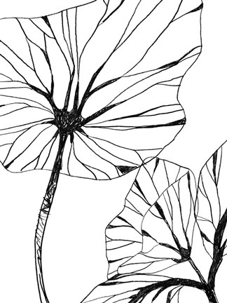 Framed Linear Tropics III Print