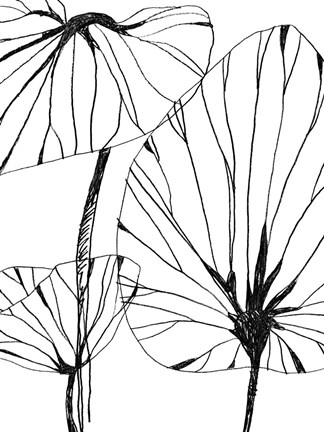 Framed Linear Tropics IV Print