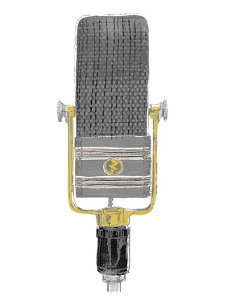 Framed Mic Check I Print