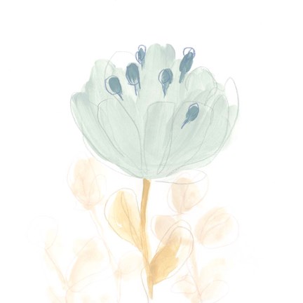 Framed Petite Petals V Print