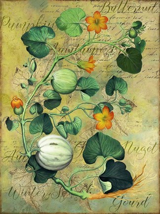 Framed Gourds Print