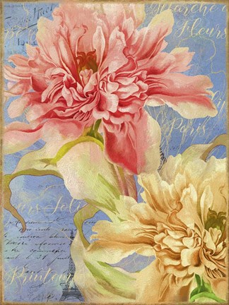 Framed Peonies Print