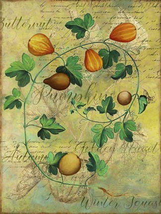 Framed Pumpkins Print