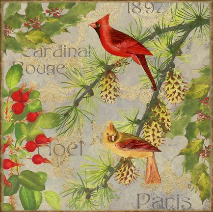 Framed Christmas Birds II Print