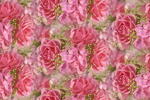 Framed Pink Roses and Hydrangea Print
