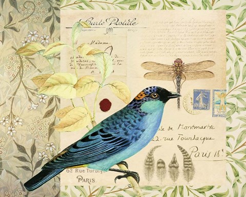 Framed Post Card Birds I Print