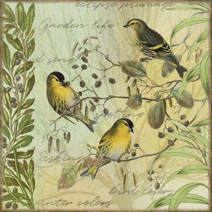 Framed Tree Birds I Siskins Print