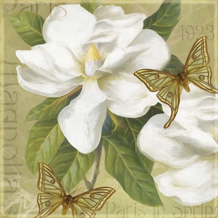 Framed Paris Magnolia&#39;s in Spring I Print