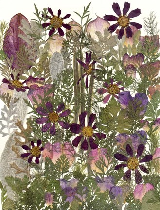 Framed Flower Fantasy 7 Print